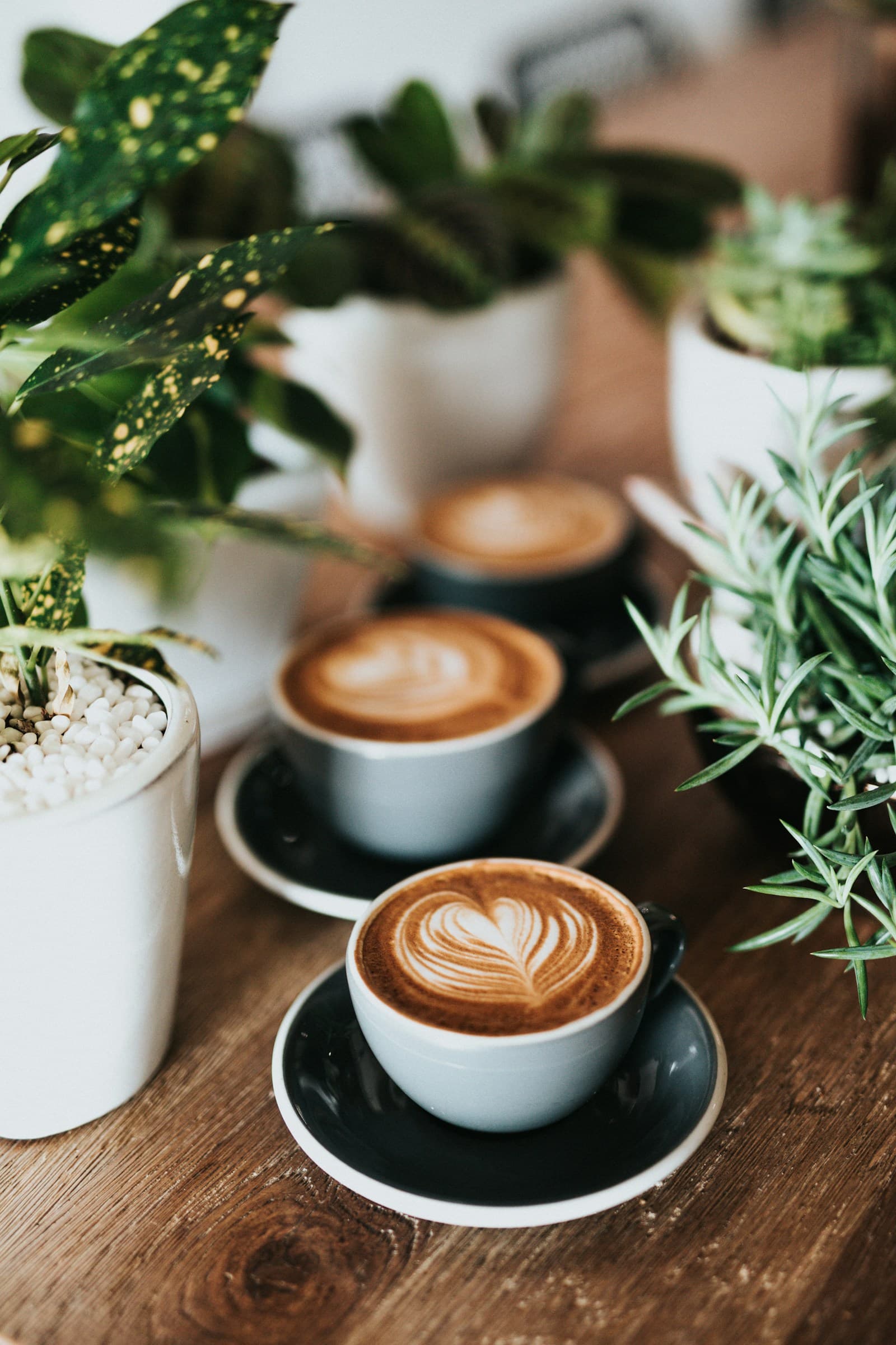 Oak House Coffee